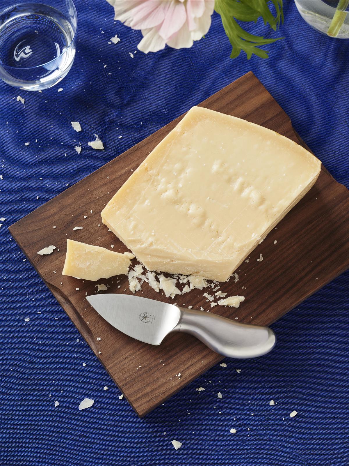 Pott "Miscellaneous" Cheese Knife Picado stainless steel Pott "Miscellaneous" Cheese Knife Picado stainless steel