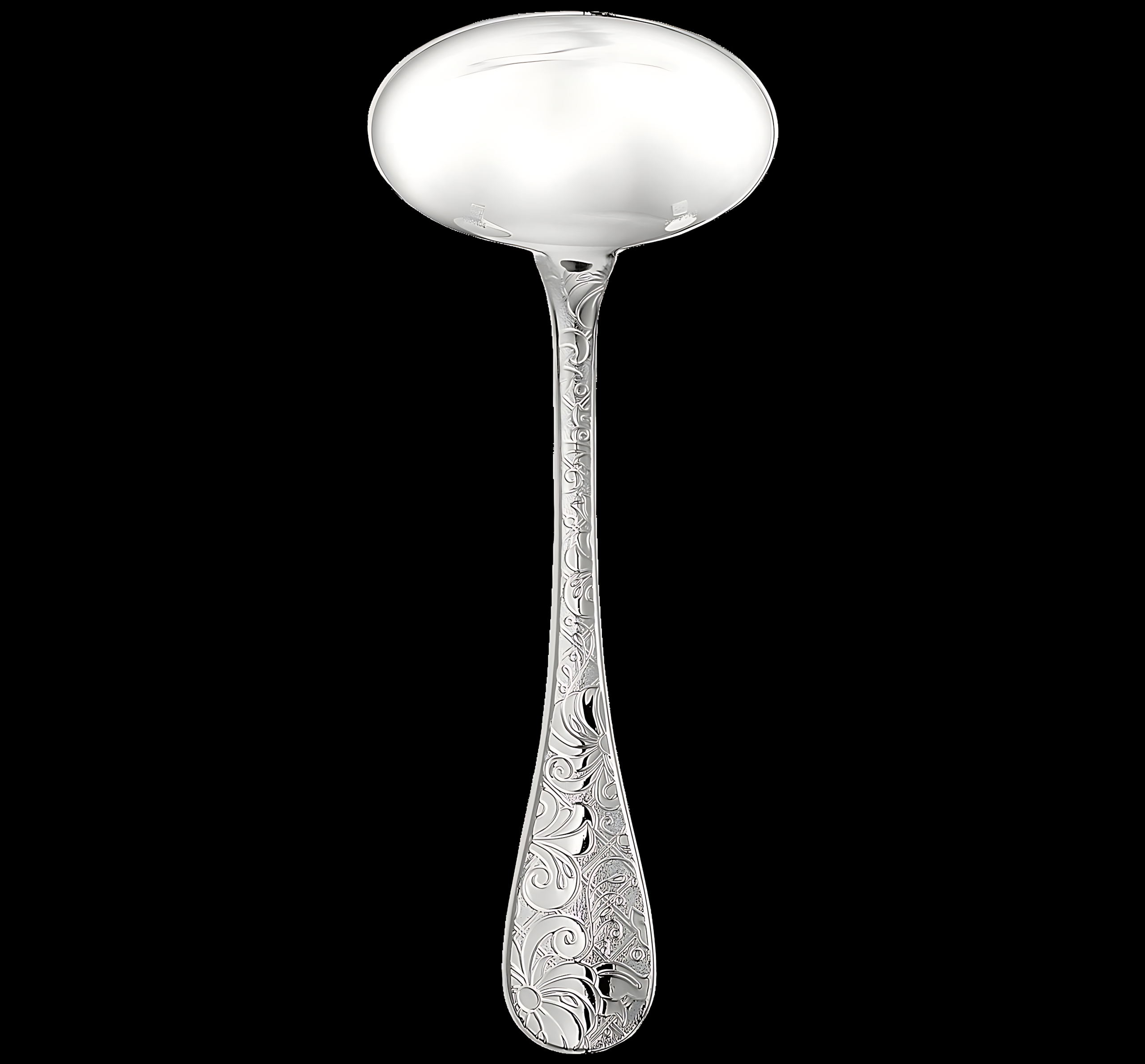 Christofle "Jardin D'Eden" Sauce Ladle silver plated 16,5 cm